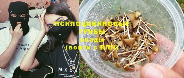 индика Алзамай