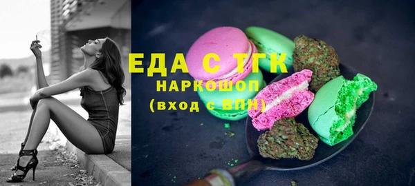 индика Алзамай