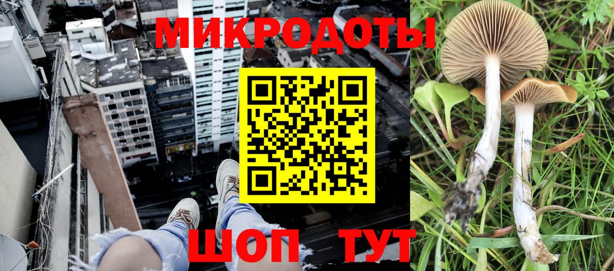Псилоцибиновые грибы мицелий Каменск-Уральский