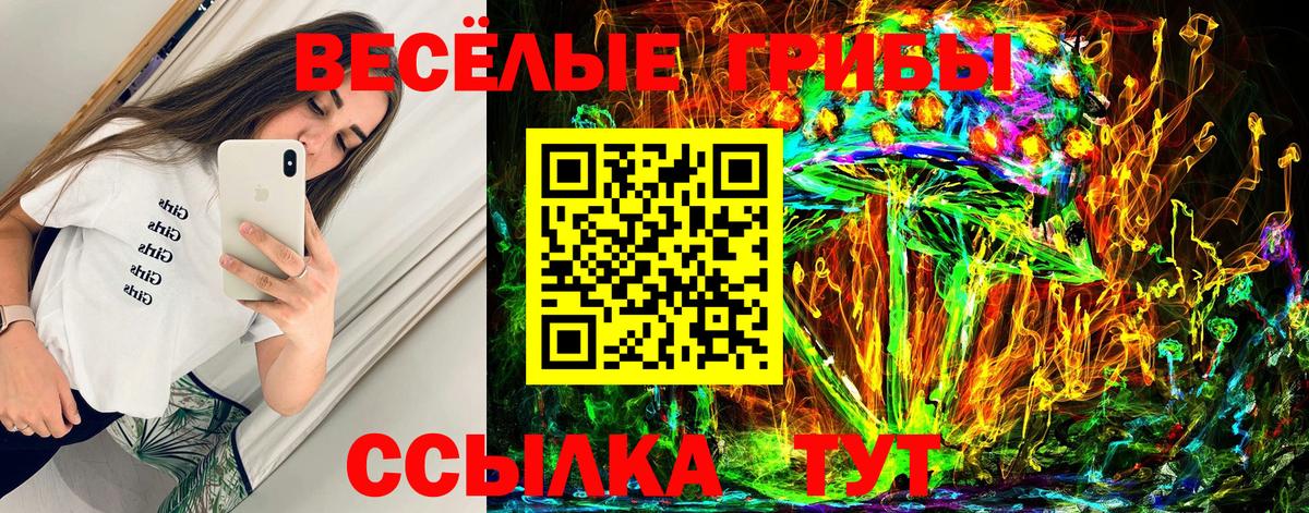что такое   Вход с VPN  Каменск-Уральский  Псилоцибиновые грибы MAGIC MUSHROOMS  Псилоцибиновые грибы Magic Shrooms 